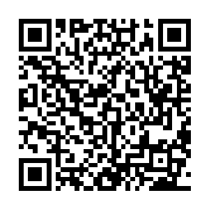 终于让白兰明白了自己想要带着克拉耶丝外出逛街的目的二维码生成