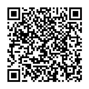 终是彻底明白汪大锤那句突兀的不会接受我让我死了那份心话语从何而来二维码生成