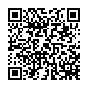 经历了这一场后傻子也察觉到了白主的布置中有阴谋存在二维码生成