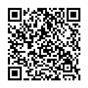 经常去神学院和几个大学的革命老战友聊天打屁二维码生成