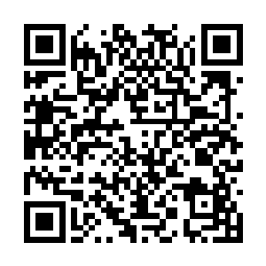 经常开着跑车送罗卿卿回来的那个总裁公子楚中元二维码生成