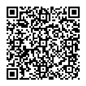 经过大夫检查之后确定那确实是当初墨景祈给他所用的要的真正的也是唯一的解药二维码生成