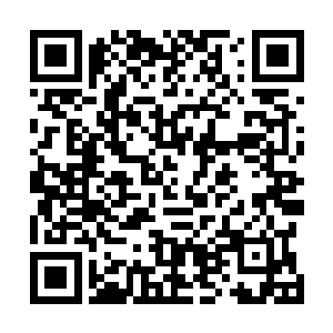 经过特训换装后的卫队自己已经将其更名为黑曼巴突击队二维码生成