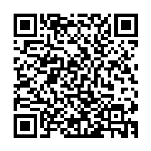 经过这么多年的发展血翼已经将天翼峰建成了一个真正的基地二维码生成