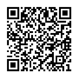 绑了十来个土匪下来时就见小熊一身是血的站着二维码生成