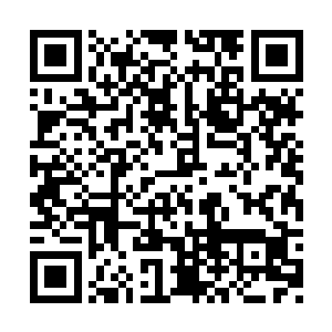 绑在一只身体只有成年人拇指大的小灵雀的腿上二维码生成