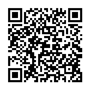 结丹期第二层的苦烟和筑基期大圆满的战杰就显得至关重要二维码生成