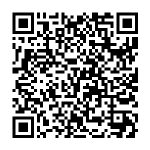 结局是非常惨烈的……哪怕他们在圣山一系的身份相当的高贵也没用二维码生成