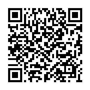 结果一到门口便看到坐在车里一脸苦恼的阮荷黎二维码生成