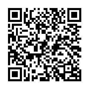 结果两个转世在神王空间区区两百多年就飙升到了这种地步二维码生成