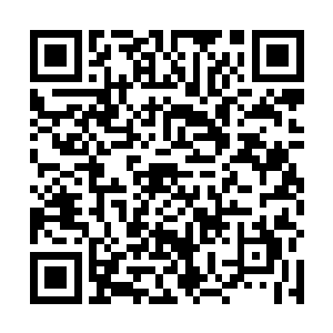 结果却没有想到最后却能用最简单最不可能的方法打开二维码生成