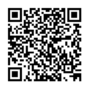 结果却触犯了当今天道在创立天道时所建立的一条隐性天道法则二维码生成