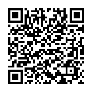 结果原战和诸位西大陆魔战士们在后来折腾了一段时间二维码生成