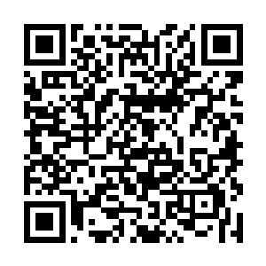 结果各方面的素质远超过同时参赛的其它上万名佳丽二维码生成