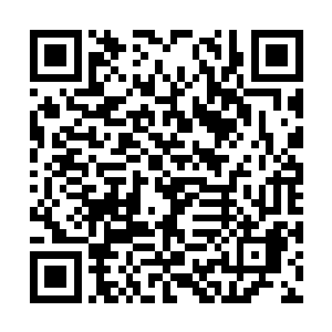 结果因为太漂亮了被星探给发现了就联系上了她们二维码生成