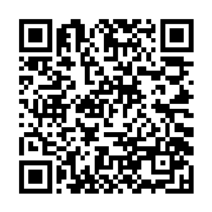 结果就发现里面的奇异能量也开始随着他们动了起来二维码生成