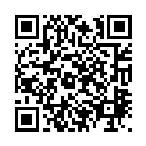 结果就看到了瘫坐在院子里大树底下二维码生成