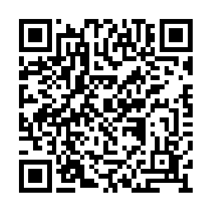 结果就造成了一个变态一样的强大的白起的出现二维码生成