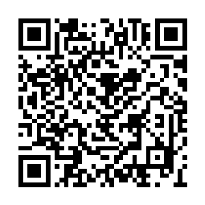 结果引发了一场圣兽一族与万剑仙宗之间的冲突二维码生成