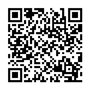 结果现在他们两兄弟的手臂就这样被夏天给斩断了二维码生成