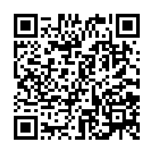 结果美女也不知道是不是故意的就是忘了拿钱包二维码生成