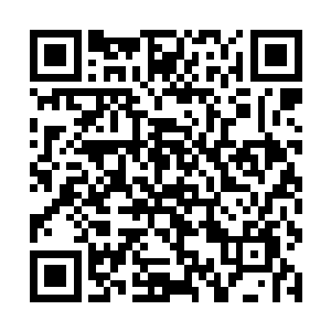 结果自己还在这里因为五十万美元的片酬就沾沾自喜二维码生成