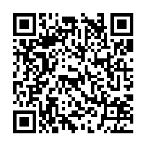 结果运气不好遇到了雪崩和半苏醒状态的不朽雪魄二维码生成