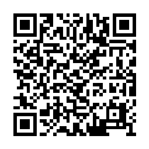 结果还没反应过来便被白凤凰一把塞进了兽囊中二维码生成