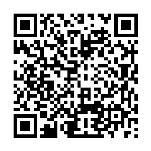 结果这些人像小英雄王二小一样冒死坑了倭寇一把二维码生成