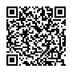 结果连一丝半毫都没传进来就给挡在了肌肤那儿二维码生成