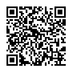 结果龙傲天一行人幸运的被闪电貂选中成为它的工具二维码生成