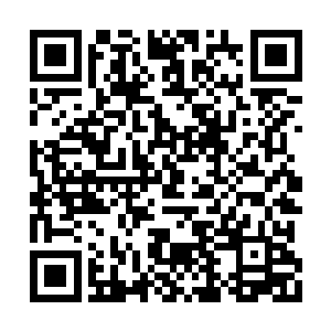 结结实实的刺在了已经黯淡之极的焚天焱剑之上二维码生成