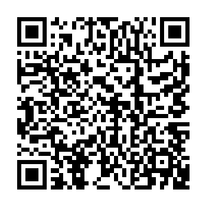 绘画专用毕业的她凭着第一名和省力第一名的资历来到了她梦寐以求的地方工作二维码生成