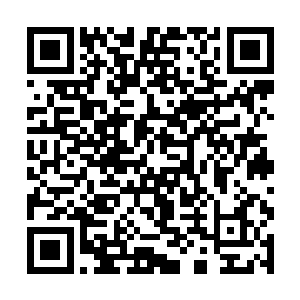 给你戴的那块祖母绿和我身上戴的玛瑙护身符是一对二维码生成