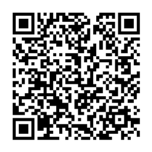 给出的专长都是位面法则适应职业者自身潜力的发展方向而出现的二维码生成