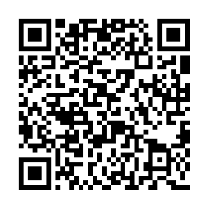 给吃东西吃的衣服上全是细碎沫子的南南拍了拍二维码生成
