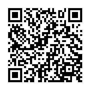 给完了皮皮卡森又把另一个富子放到了囡囡的手中二维码生成