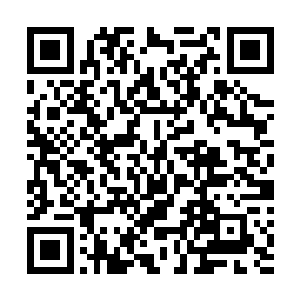 给家里面准备点礼物或者是给爷爷和奶奶带一些东西回去二维码生成