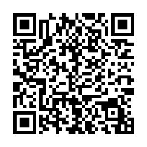 给小世界打包送回本域去了……帝君分身一旦回归了他本体二维码生成