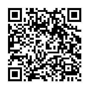 给我一转手就反过来给了其他相熟又潜质的弟子二维码生成