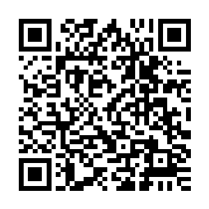 给我们带来了极大的困扰――我们暂时还不能够明白秦家的企图二维码生成