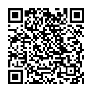 给我们机会让我们赶紧把介入此事的人给撤回来二维码生成
