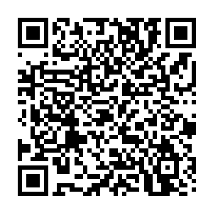 给我杀了他……杀了他……现在你报答我父亲的养育之恩的时间已经到了二维码生成