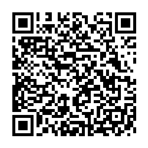 给楚旬身体带来了不小负担的金系力量和土系力量也渐渐被中和了起来二维码生成
