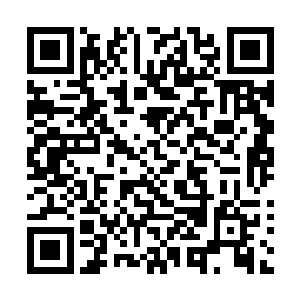 给每一队的士兵都穿上了一层重达80斤的泥土铠甲二维码生成