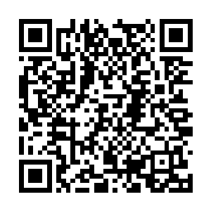 给这些人一百个胆子都不敢到王府院前凑这热闹的二维码生成