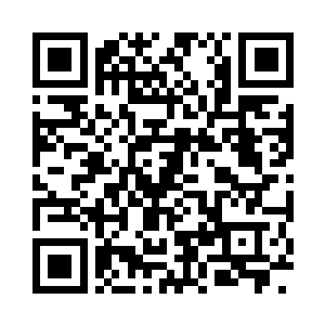 给这简朴的后院带来了明艳与生动的气息二维码生成