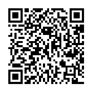 给野鸡和长耳兽做好了食物送过去以后盆里还剩下不少果粉二维码生成