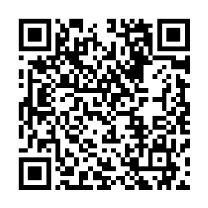 给雷林和克里奥分别倒了一杯类似咖啡和巧克力融合的饮料二维码生成