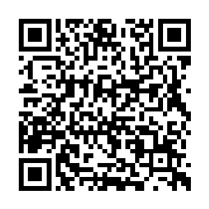 络腮胡子的身体就至少替江少游挨了数百发子弹二维码生成